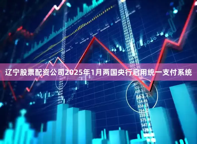 辽宁股票配资公司2025年1月两国央行启用统一支付系统