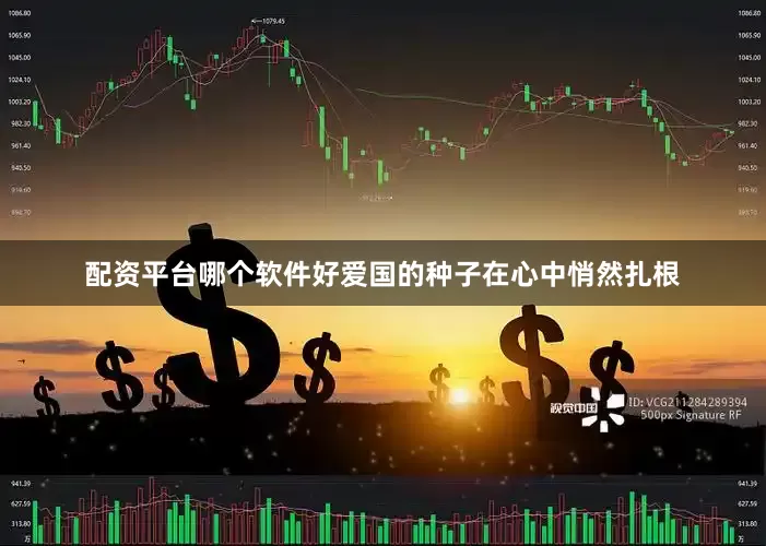 配资平台哪个软件好爱国的种子在心中悄然扎根